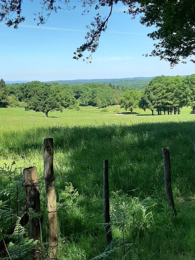 Luxe Gite Met Authentieke Kamers In De Creuse, France Valliere エクステリア 写真